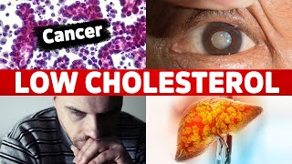 10 Surprising Diseases Caused by Low LDL Cholesterol [upl. by Yentruocal531]