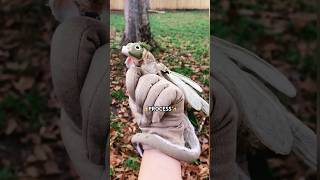 I MADE A DRAGON PUPPET🍄✨ art craft dragon dragonpuppets diy mushroom artist shorts [upl. by Annawak445]