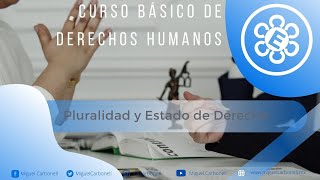 Pluralidad y Estado de Derecho [upl. by Mallissa209]