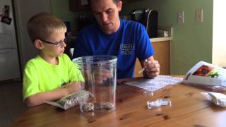 Setting Up Our Milkweed Bug Habitat Terrarium [upl. by Ellertnom492]