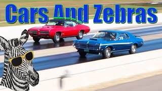 1969 Cougar Cobra Jet vs 1969 GTO Ram Air  STOCK DRAG RACE  CARS AND ZEBRAS [upl. by Gan139]