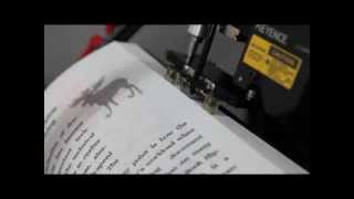 Automatic Page Turner Machine [upl. by Eittol]