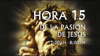 15 de 24 I Horas de la Pasión de Jesús Luisa Piccarreta Divina Voluntad [upl. by Senecal92]