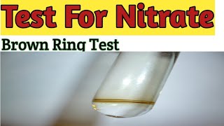 Test for Nitrate  Acidic Radical Analysis  Brown Ring Test  Vikram seervi  Chemistry Experiment [upl. by Ayot374]