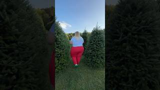 A little Christmas tree farm behind the scenes… [upl. by Milinda]