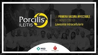 Porcilis® Ileitis la primera vacuna inyectable contra Lawsonia Intracellularis [upl. by Necila]