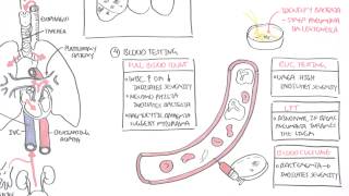 PSM 101 Modes of Transmission of Communicable Disease Infectious Infection How get transmitted [upl. by Nomyaw]