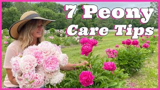 7 Peony Care Tips [upl. by Gnourt898]