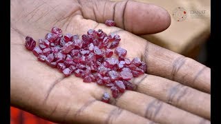 quotMAASAI LANDquot  Rubies from Longido Tanzania [upl. by Hentrich]