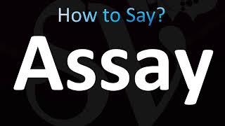 How to Pronounce Assay CORRECTLY [upl. by Ahsahs]