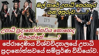 university of peradeniya conversation [upl. by Kappel]