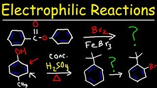 Electrophilic Aromatic Substitution Reactions Made Easy [upl. by Nylidam]