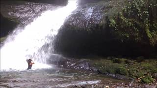 CUEVA DE LOS GUACHAROS EN JARDIN  ANTIOQUIA  COLOMBIA [upl. by Luanni]