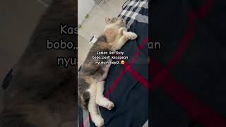 Suzy pulas tidur karena kecapean nyusuin bayibayi [upl. by Cruz690]