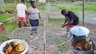 making my first set of fish pot and cooking dumpling and fish for lunch hardworking day [upl. by Akinnej]