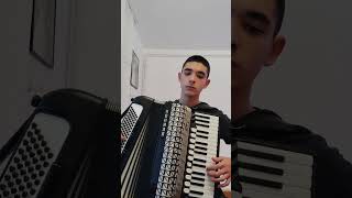 Šaban Šaulić  Ako me tražiš accordion harmonika dzomba music hohnerharmonica muzika [upl. by Crawford622]