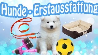 HundeErstausstattung  Welpe Erstausstattung  Das braucht ein Hund bzw Welpe [upl. by Atteuqahc722]