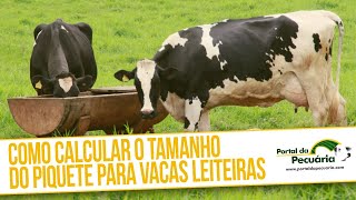 Como calcular o tamanho do piquete para vacas leiteiras [upl. by Ahsenev547]