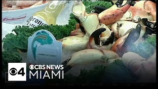 Hurricane Milton threatens to disrupt start of stone crab season [upl. by Thorfinn]