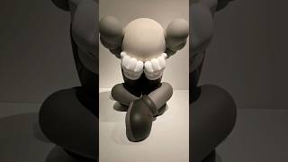 kaws exhibit in toronto art artgallery [upl. by Elvah]