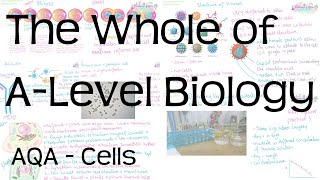 The Whole of AQA ALevel Biology Topic 2  Cells [upl. by Dorette]