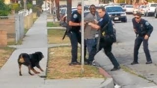 Police Shoot Dog And Kill In Front Of OwnerGraphic Video Reactionquot [upl. by Ardnuyek141]