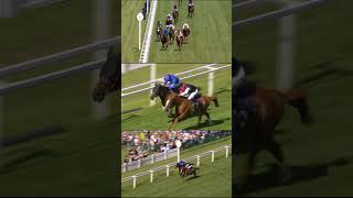 Kyprioss Gold Cup Finish From All Angles [upl. by Martguerita542]