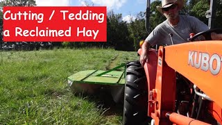 Cutting and Tedding Hay 2nd Cut on the Reclaimed Field [upl. by Illa]