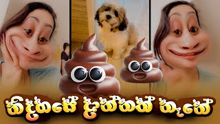 Piumi Hansamali  නිදහසේ බෙට්ටක් දාන්නත් නෑනේ😂😂😂 [upl. by Wynne]