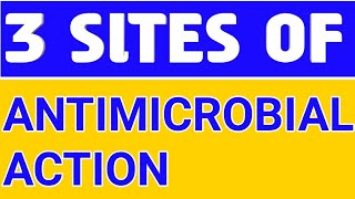 SITES OF ANTIMICROBIAL ACTION pharmacology pharmacy nursing doctor [upl. by Clite765]