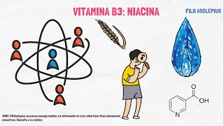 VITAMINA B3 NIACINA  QUÉ ES Y PARA QUÉ SIRVE [upl. by Zerep568]