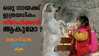 Hearty Paws 2006 Explained in Malayalam  Part 1  Movie explained  Cinema Katha [upl. by Oilime]