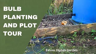 Planting bulbs and January plot tour [upl. by Idolla372]