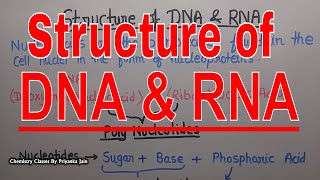 Struture of DNA amp RNA Nucleic acids  Biochemistry Part 29  csir net  gate  Iit jam [upl. by Cornwell868]