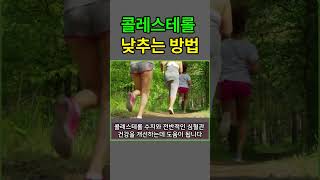 콜레스테롤 낮추는 방법 [upl. by Asilegna416]