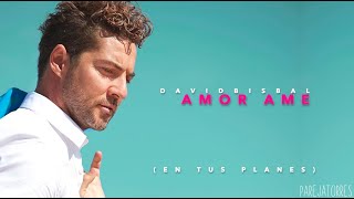 Amor Amé  David Bisbal con letra En Tus Planes 2020 [upl. by Nwahsd414]