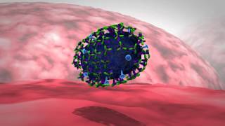 Influenza Get the Antigenic Drift [upl. by Jere]