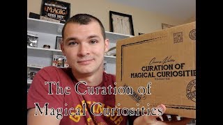 The Curation of Magical Curiosity  Cherry Wallis  PotterWatch [upl. by Aij]