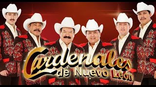 Belleza de cantina  Los Cardenales de Nuevo León  KARAOKE  Maikimaik27 Full HD [upl. by Llenet]