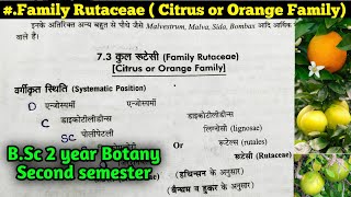 Family Rutaceae  Orange or Citrus Family  BSc 2nd year [upl. by Ennaerb]