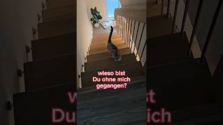 Ich bin nur die Treppe hoch gegangen 😅 [upl. by Tan941]