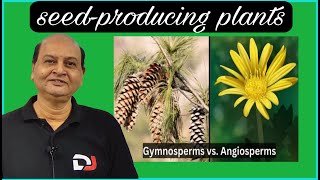 Whats the BIGGEST Difference Between Gymnosperms and Angiosperms  NEET  RK sir  Destiny JEET [upl. by Ahsirahc]