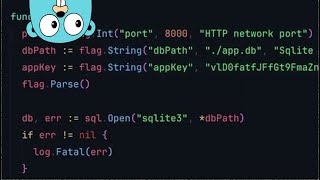 Configure Golang web apps using commandline flags [upl. by Dnilasor]