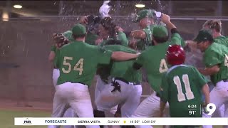 Tucson Saguaros win Pecos League Title [upl. by Nilrem]