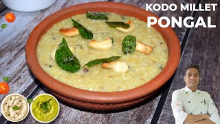 Millet Pongal  How to Make Millet Pongal  Pongal Special  Kodo Millet Recipe  Chef Sahajan [upl. by Thar]