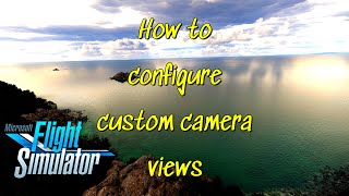 How to set up custom camera views  MSFS [upl. by Coryden799]