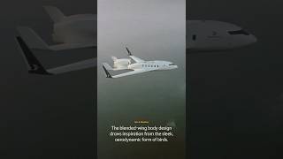 ⁠bombardierjets with the Ecojet check them out privatejet bombardier jets shorts luxury [upl. by Mayhs]