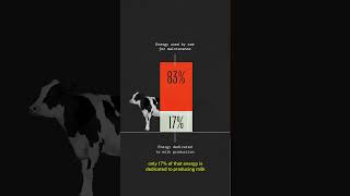 Is Precision Fermentation Sustainable [upl. by Wrench304]