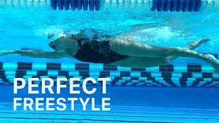 How To Swim Freestyle With Perfect Technique [upl. by Neved]