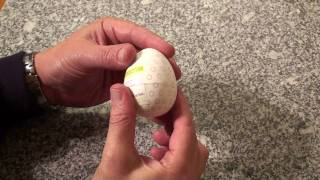 tenga egg demo video [upl. by Orvil]